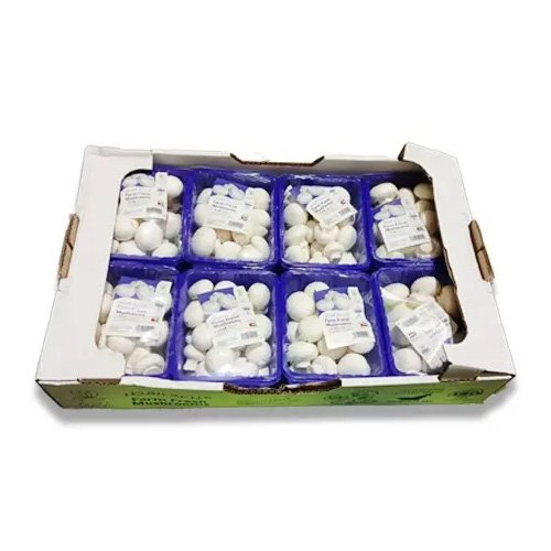 White Mushroom Baby 2kg UAE