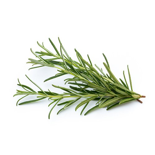 Rosemary 100g Kenya