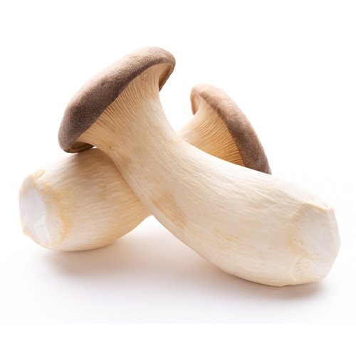 Mushroom King Oyster 200g China