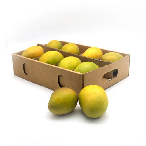 Mango Alphonso 1.7kg Indonesia