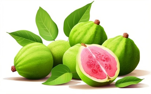 Guava New Fruit