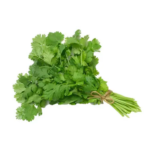 Coriander 100g UAE